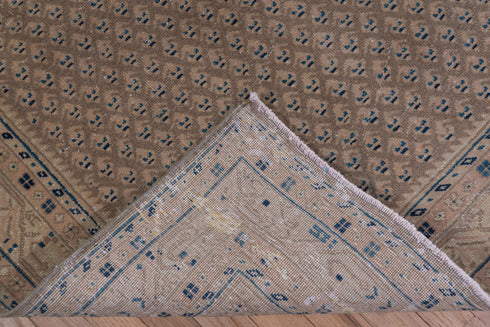 Vintage Mahal Runner Rug (3' x 10')